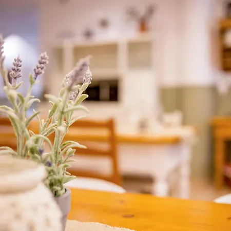 住宿加早餐酒店 Tuenderliget Boutique Wellness 艾格扎洛克