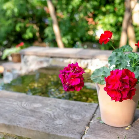 住宿加早餐酒店 Tuenderliget Boutique Wellness